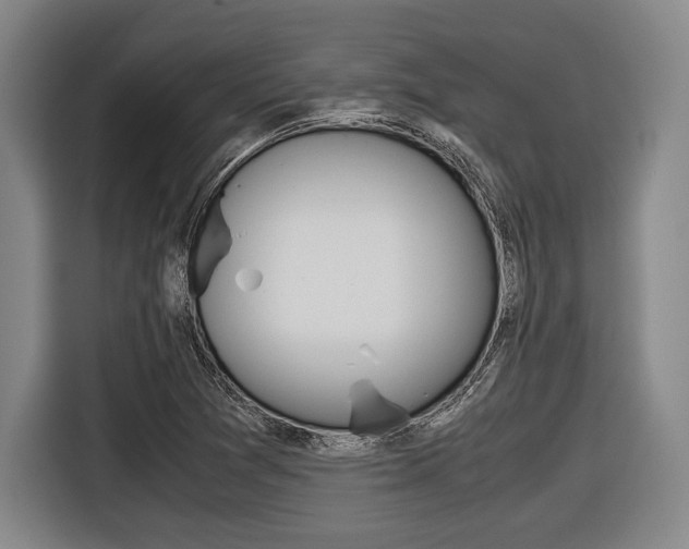 X0000116421361200912081151
