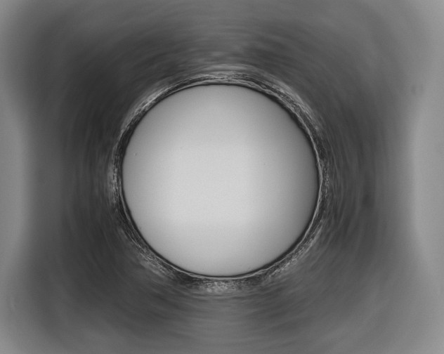 X0000116421362200912081151