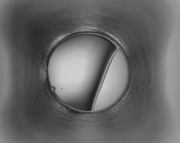 X0000116421363200912081151