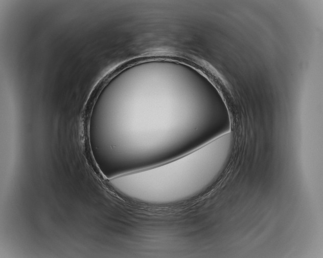 X0000116421364200912081151