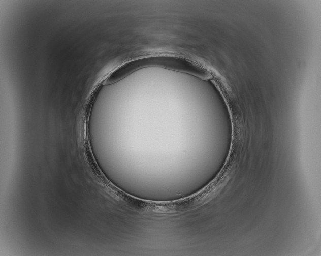 X0000116421365200912081151