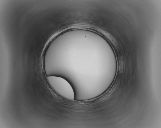 X0000116421366200912081151