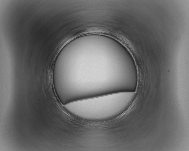 X0000116421369200912081151