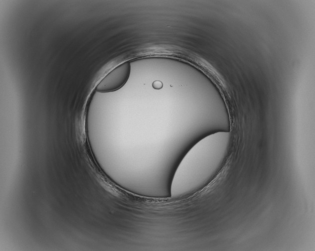 X0000116421370200912081151