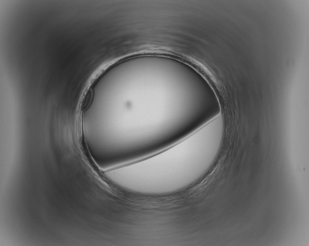 X0000116421371200912081151