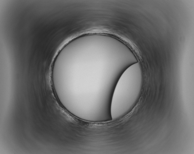 X0000116421374200912081151