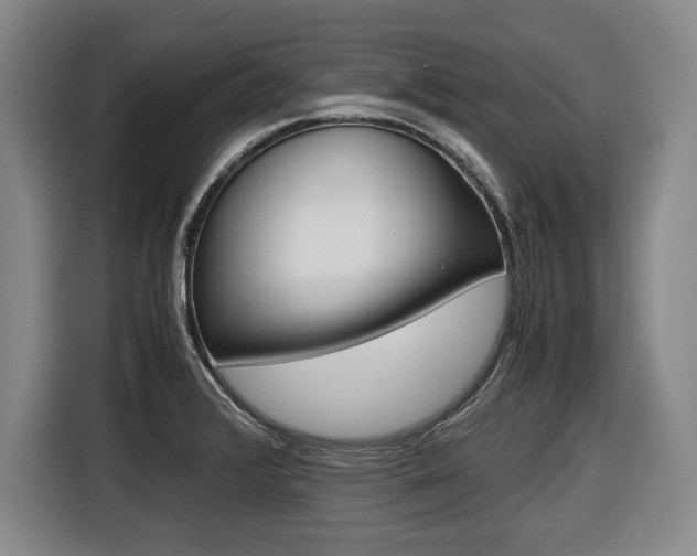 X0000116421376200912081151