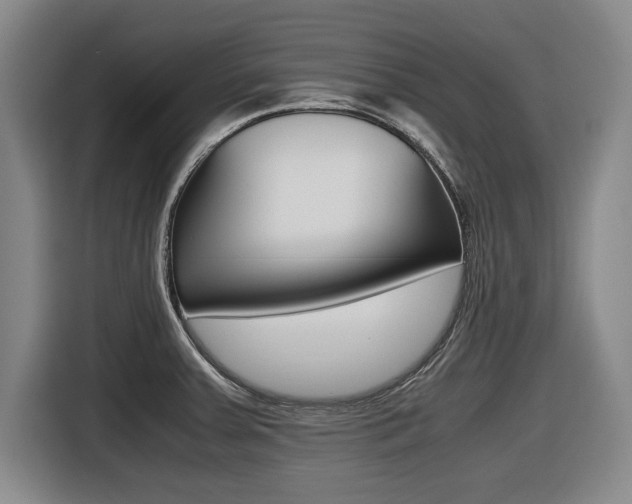 X0000116421379200912081151