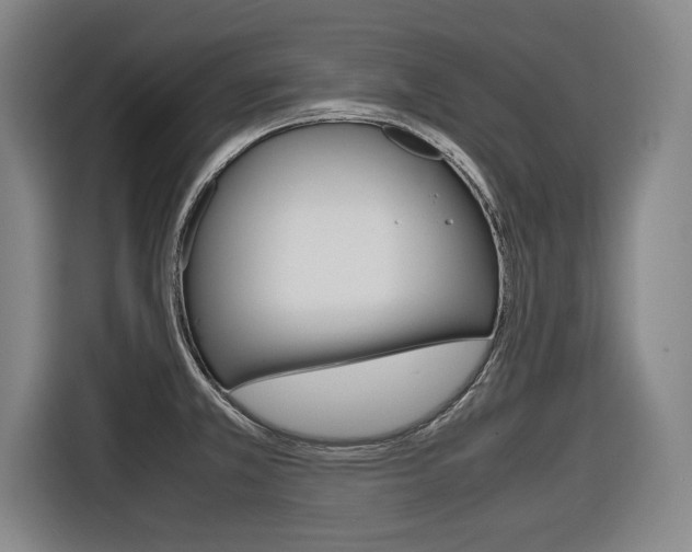 X0000116421381200912081151