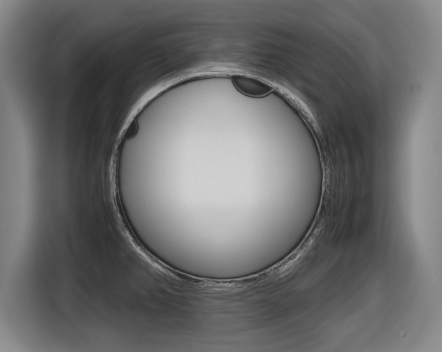 X0000116421382200912081151