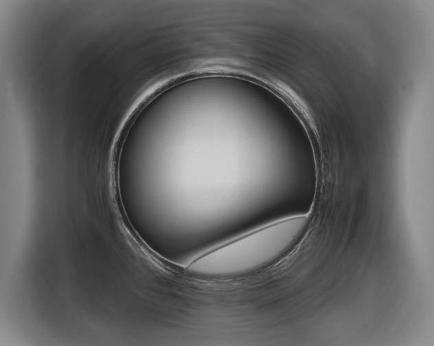 X0000116421384200912081151