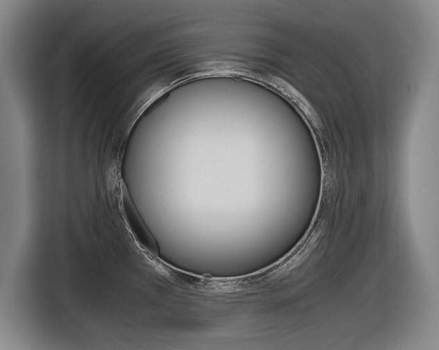 X0000116421385200912081151