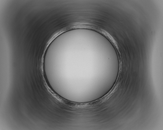 X0000116421386200912081151