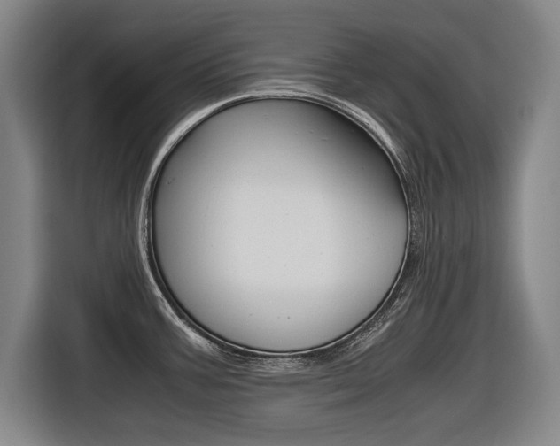 X0000116421387200912081151