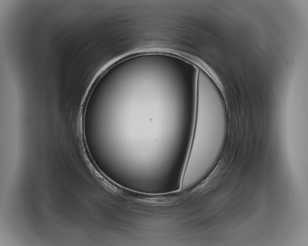 X0000116421388200912081151