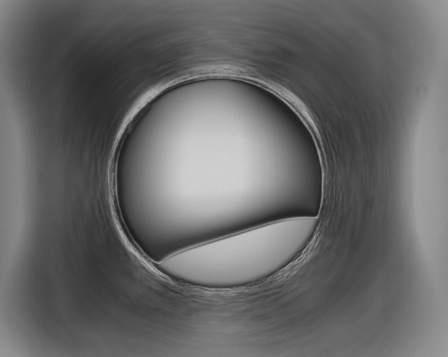 X0000116421389200912081151