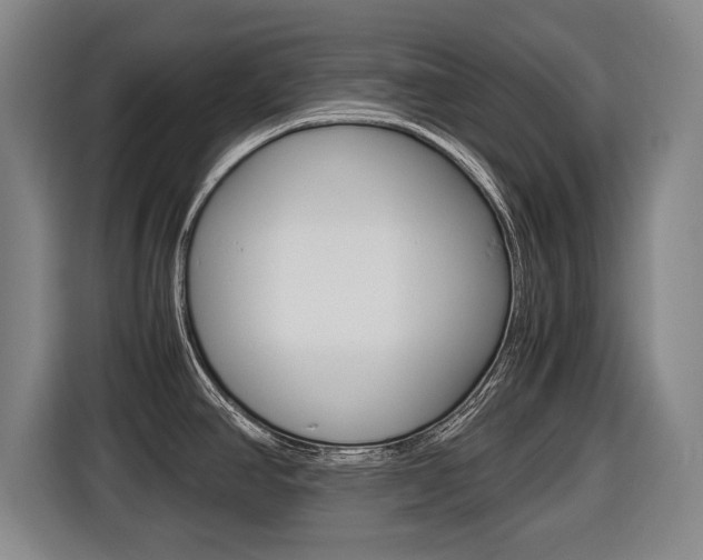 X0000116421390200912081151