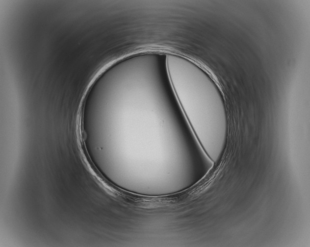 X0000116421391200912081151