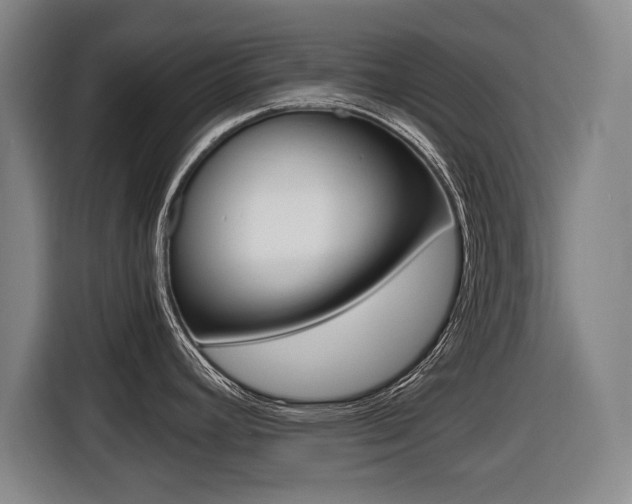 X0000116421392200912081151