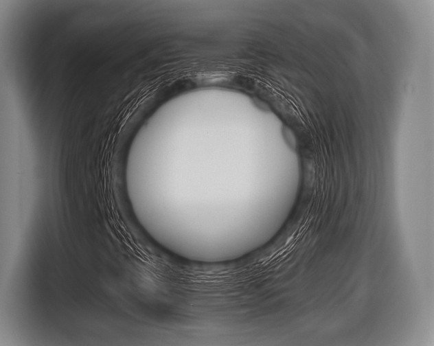 X0000116421393200912081150