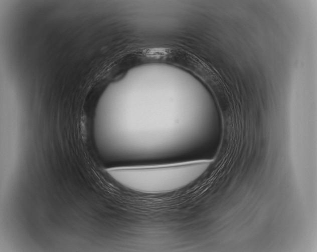 X0000116421394200912081150