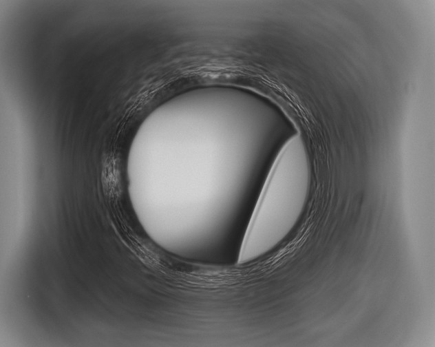X0000116421396200912081150