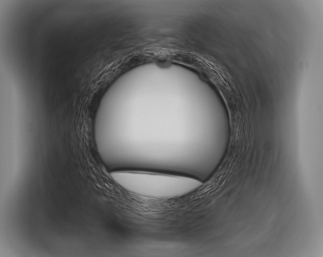 X0000116421397200912081150