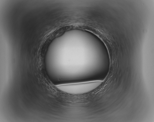 X0000116421398200912081150