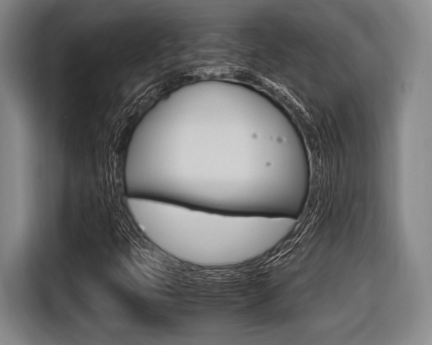 X0000116421399200912081150