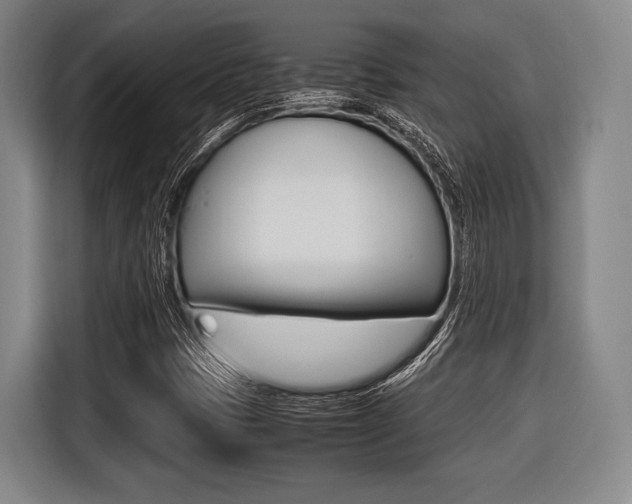 X0000116421401200912081150