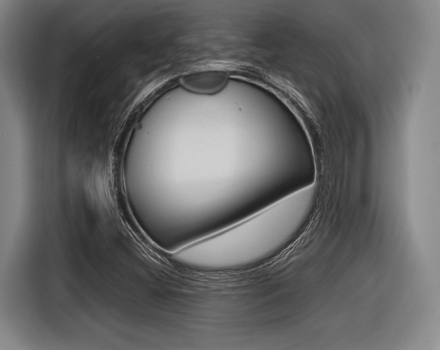 X0000116421404200912081150