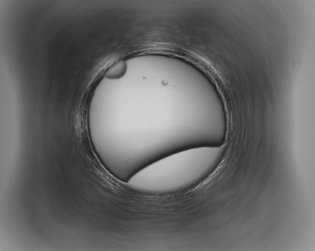 X0000116421405200912081150