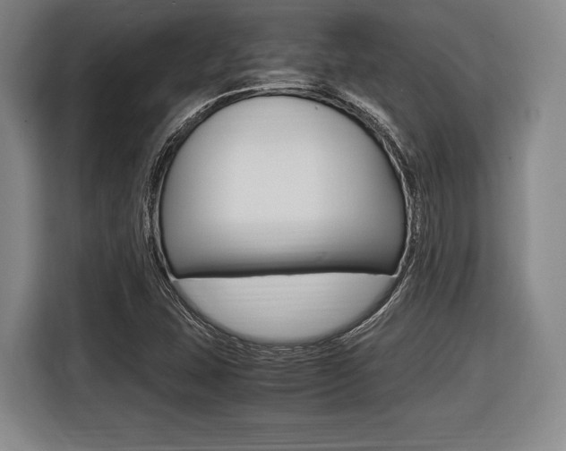 X0000116421407200912081150