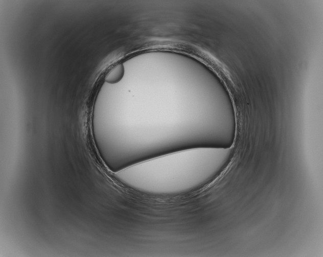X0000116421411200912081150