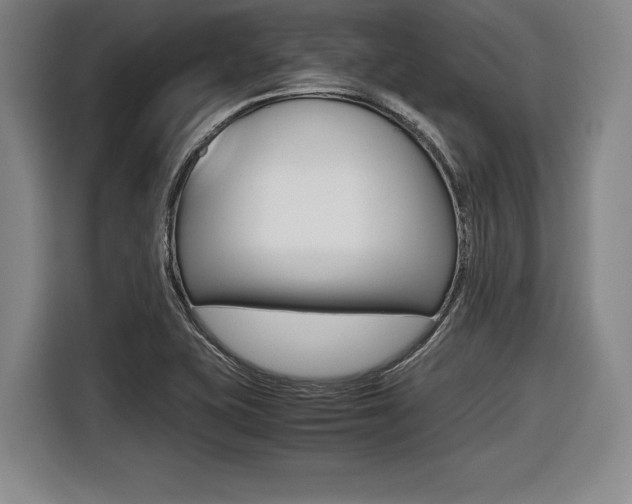 X0000116421415200912081150