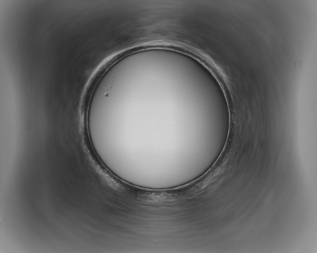 X0000116421416200912081150