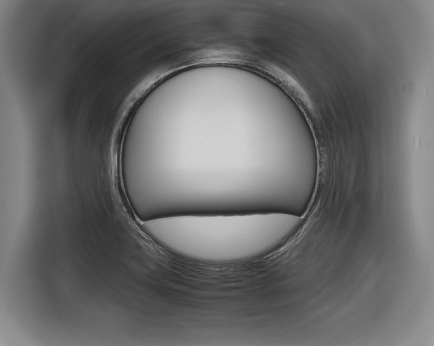 X0000116421419200912081150