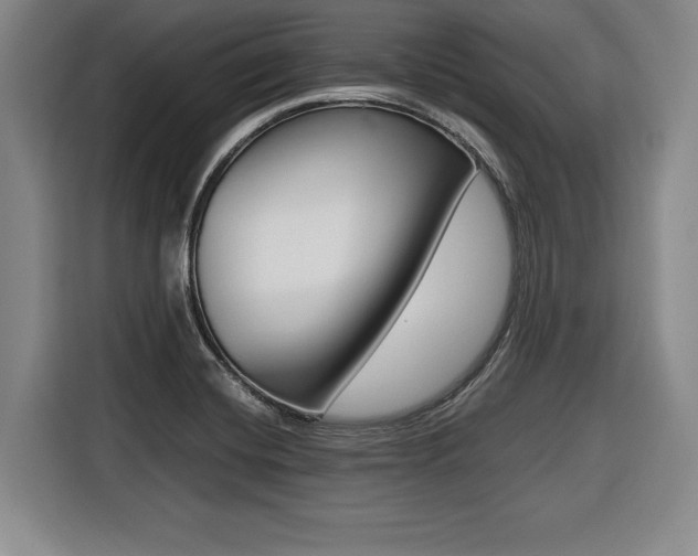 X0000116421420200912081150