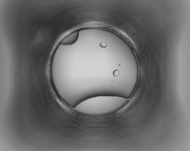 X0000116421421200912081150