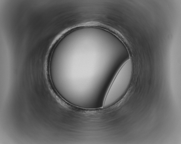 X0000116421422200912081150