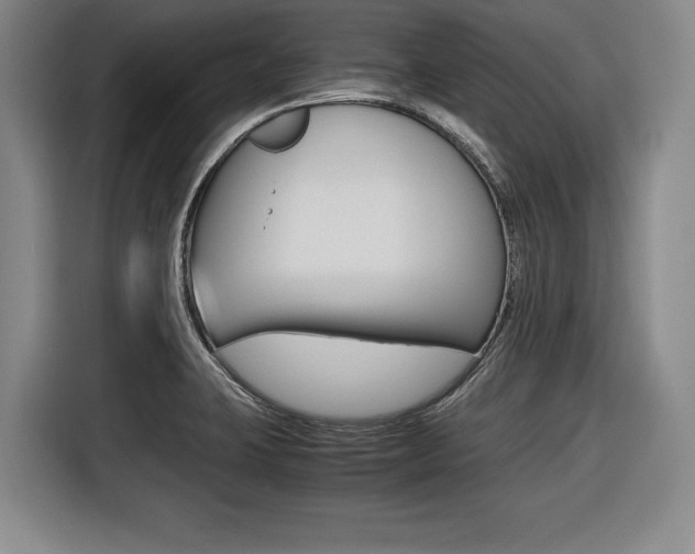 X0000116421423200912081150