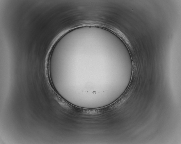 X0000116421427200912081151