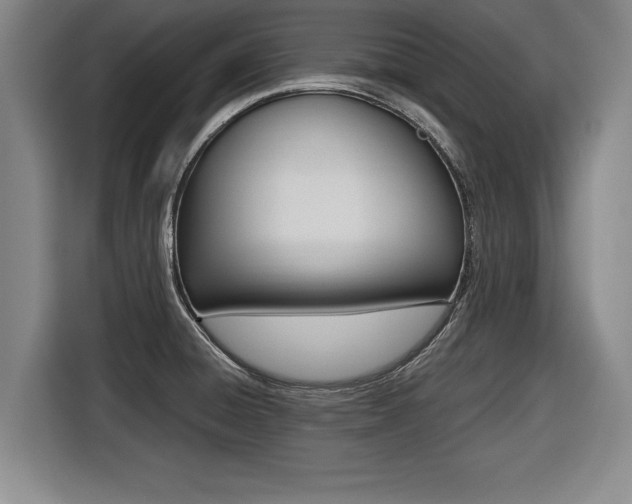 X0000116421428200912081151