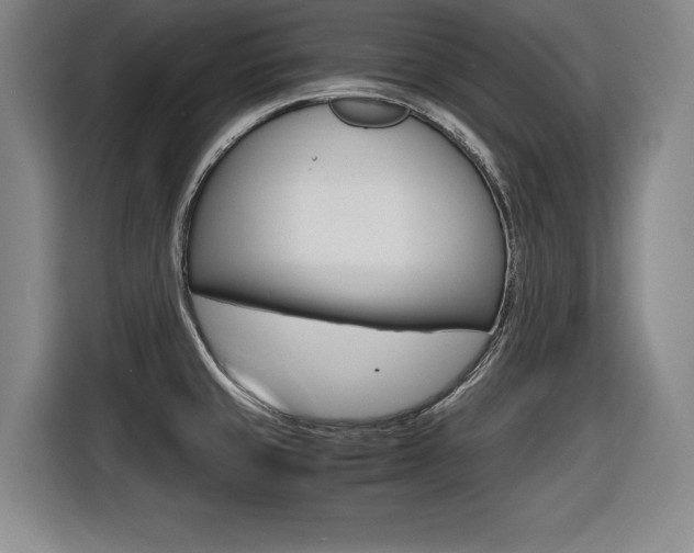 X0000116421429200912081151