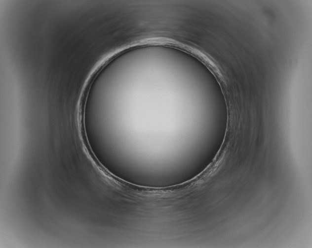X0000116421430200912081151