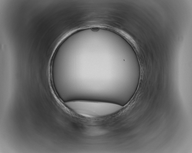 X0000116421431200912081151