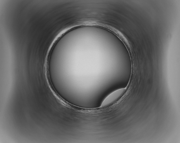 X0000116421432200912081151