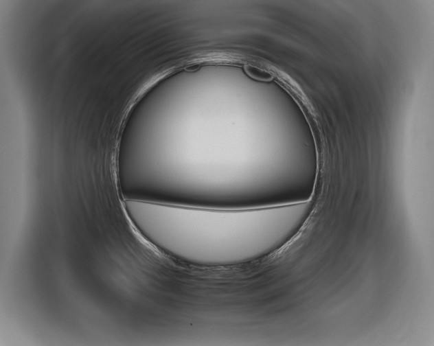 X0000116421433200912081151