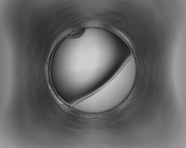 X0000116421434200912081151
