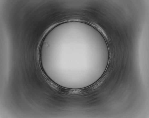 X0000116421435200912081151
